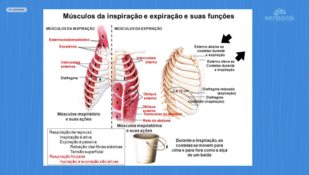 ambu-pratica-3