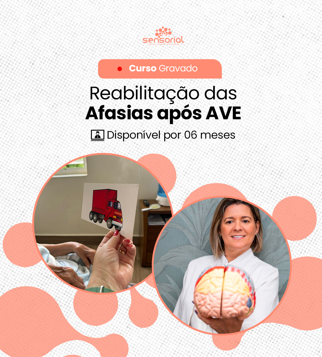 Reabilitação afasias